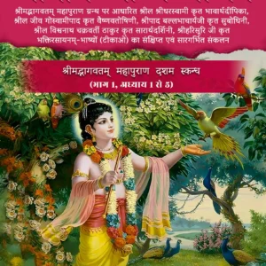 Acharya Bhashya Sangrah | Hindi | Paperback Edition