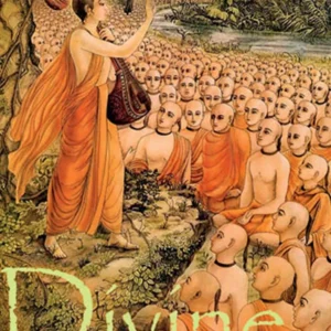 Divine Instructions | English | Paperback Edition