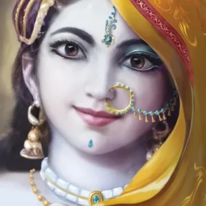 Krishna in Disguise | English | Hardcover Edition