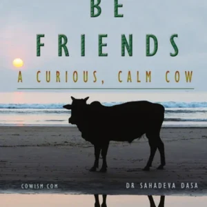 Let’s Be Friends: A Curious, Calm Cow | English | Paperback Edition