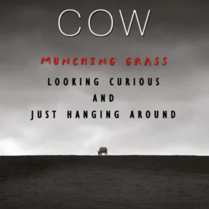 Noble Cow | English | Paperback Edition