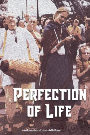 Perfection of Life | English | Paperback Edition