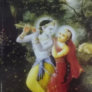 Shri Gita Rasa Madhuri | Hindi | Paperback Edition