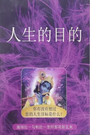 The Purpose of Life | Chinese | Paperback Edition