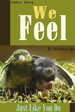 We Feel Just Like You Do | English | Paperback Edition