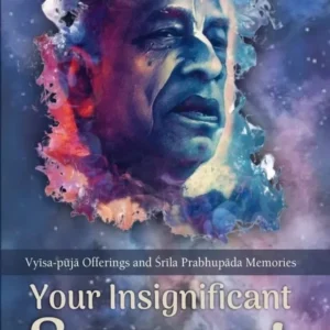 Your Insignificant Servant | English | Paperback Edition