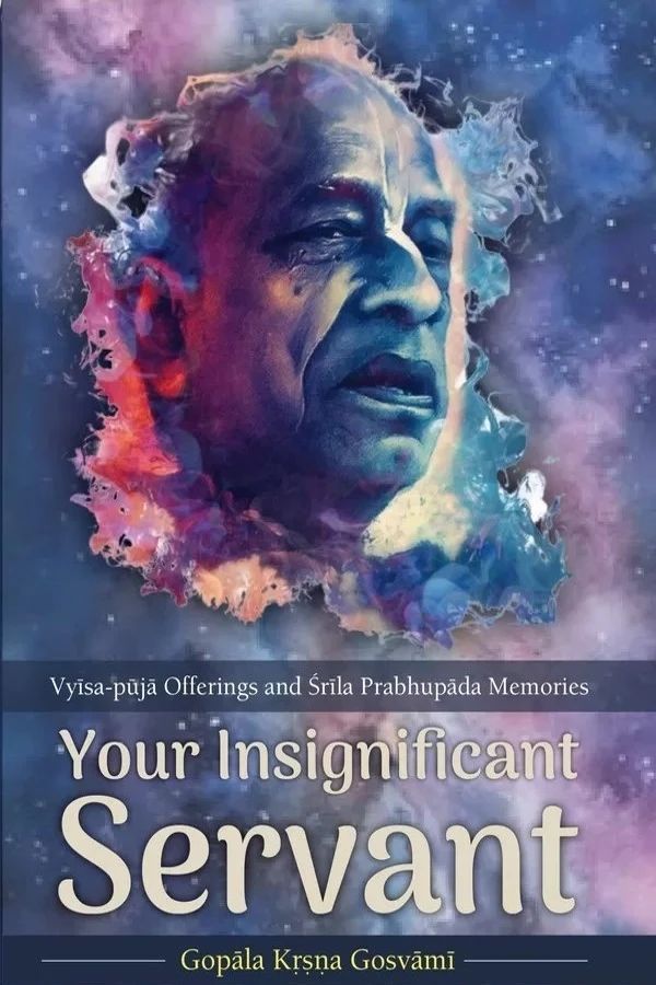 Your Insignificant Servant | English | Paperback Edition